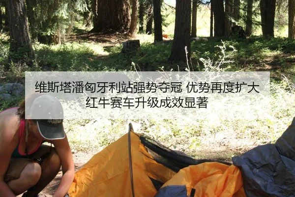 维斯塔潘匈牙利站强势夺冠 优势再度扩大 红牛赛车升级成效显著