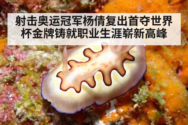 射击奥运冠军杨倩复出首夺世界杯金牌铸就职业生涯崭新高峰