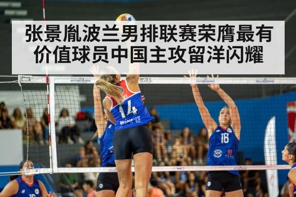 张景胤波兰男排联赛荣膺最有价值球员中国主攻留洋闪耀